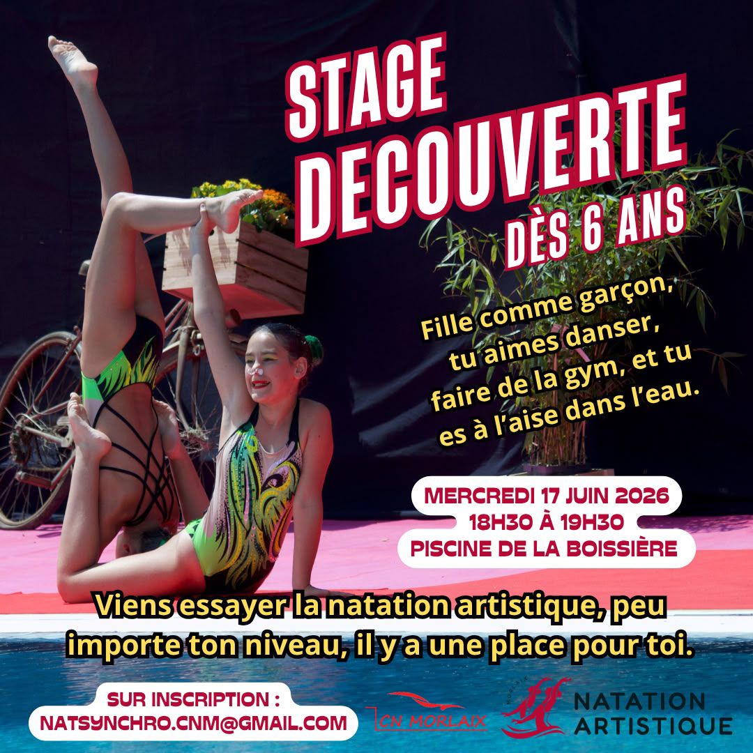 Affiche stage synchro